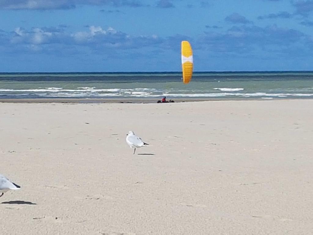 Les Fruits De Mer, Terrasse Sud, Parking Gratuit, Calme Et Tout A Pied Berck Exterior photo
